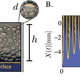 Image: F. Viola et al./Physics of Fluids